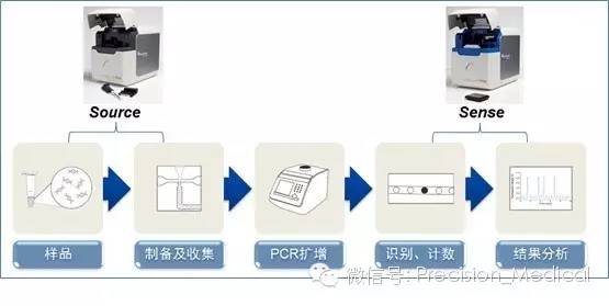 基因突變檢測技術 原理、應用與未來展望